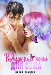 Обложка книги Радужная пони для Сома (СИ)