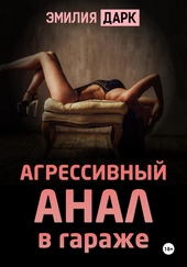 Обложка книги Агрессивный анал в гараже