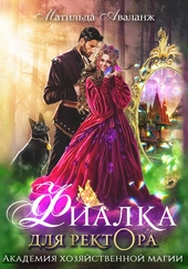 Обложка книги Академия Хозяйственной Магии. Фиалка для ректора