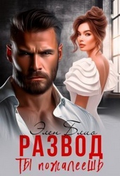 Обложка книги Развод. Ты пожалеешь (СИ)