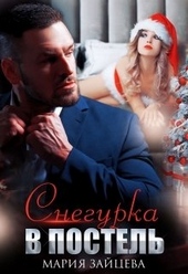 Обложка книги Снегурка в постель