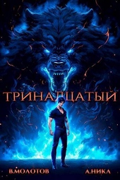 Обложка книги Тринадцатый IV (СИ)