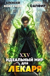 Обложка книги Идеальный мир для Лекаря 25