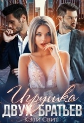 Обложка книги Игрушка двух братьев