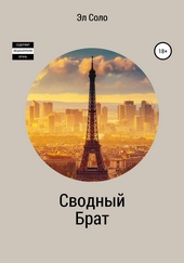 Обложка книги Сводный брат
