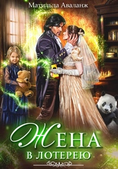 Обложка книги Жена в лотерею