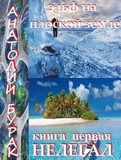 Обложка книги Эльф на плоской Земле. Книга 1. Нелегал.