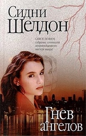 Обложка книги Гнев ангелов