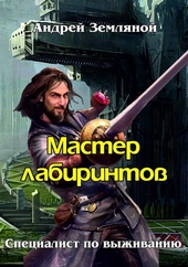 Обложка книги Мастер лабиринтов